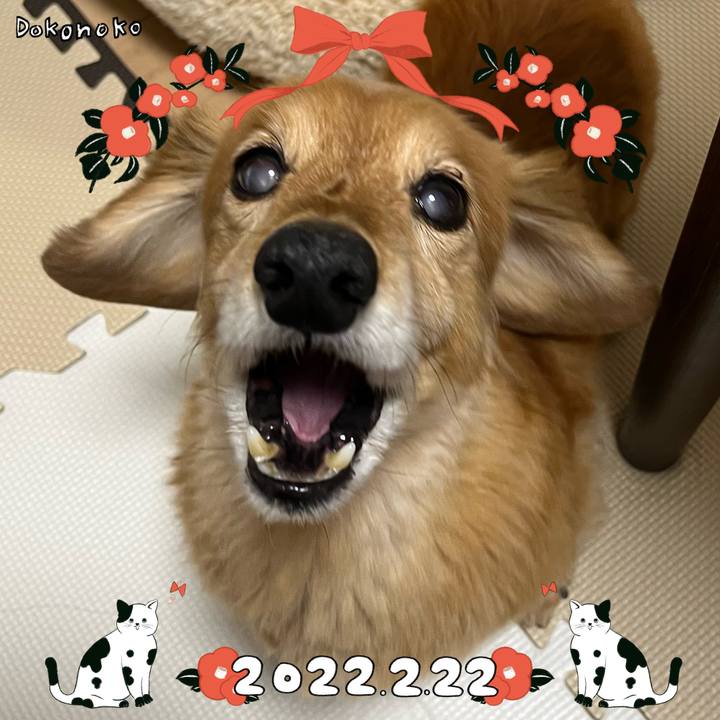 14464450 e53d 4aab 850e 2a83c95f993a 1645530680774