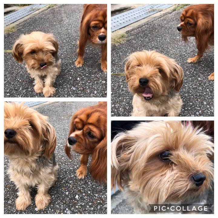 144673d4 f43c 42fc b7d8 7d3ec3f75547 1570342772601