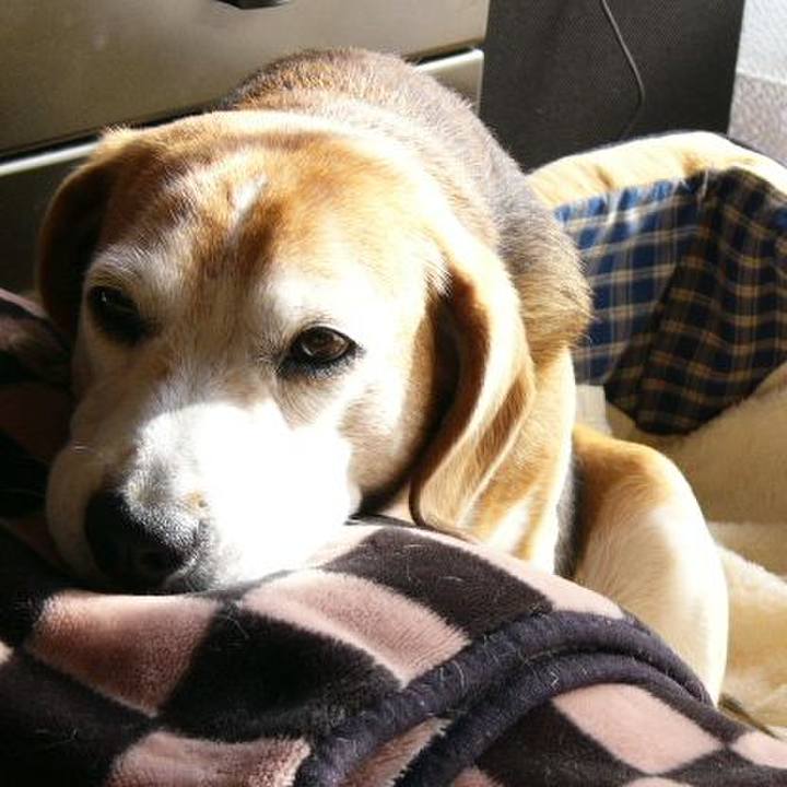 1446742a 89d9 4b0e 88f5 54451ea0e317 1641172515743