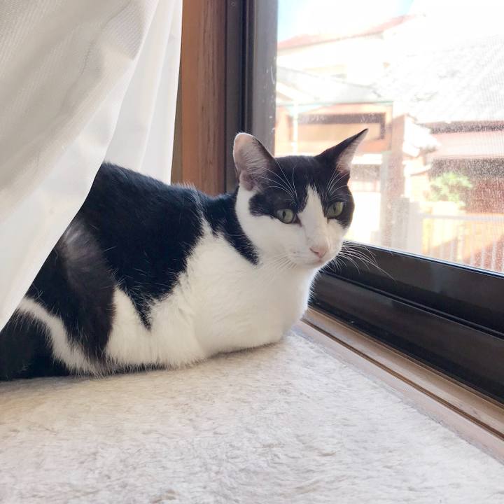 144678b1 fa49 4812 9e03 205b71c811e8 1536678471560