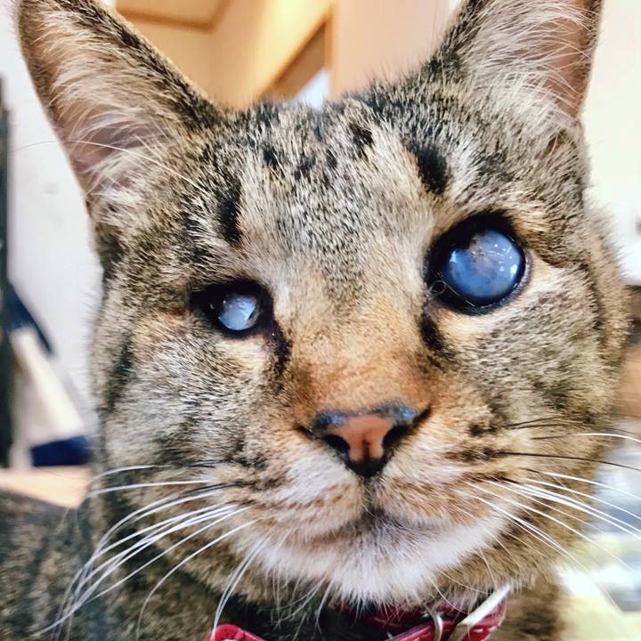 144692e4 7d5c 42b9 9443 e26b8b6b6758 1521881345277