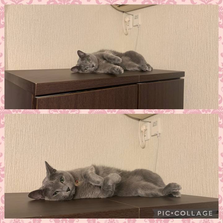 1446953d 6302 4a37 ac56 f5725e9fade6 1637410620976