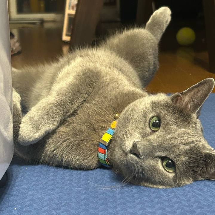 144695a2 b0b0 42a2 b5d1 5e0a4b1a2068 1751982591947