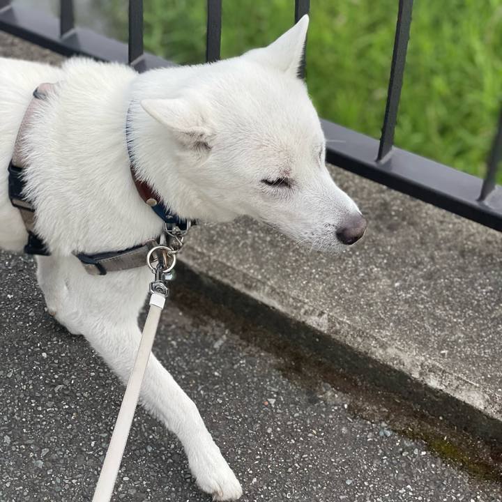 1446af76 69c8 4539 80ec 94954a7f45ec 1717040259373