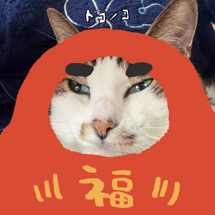 1446d326 5974 49f2 b858 278386b22ac1 1772108154176