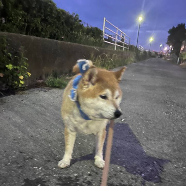 1446daa5 1f82 4514 95a1 f5e80ae5ad82 1720607641652