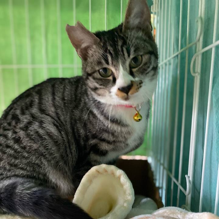 1446e6bc bcb1 429d a826 b3a7c7ad971d 1702790846699