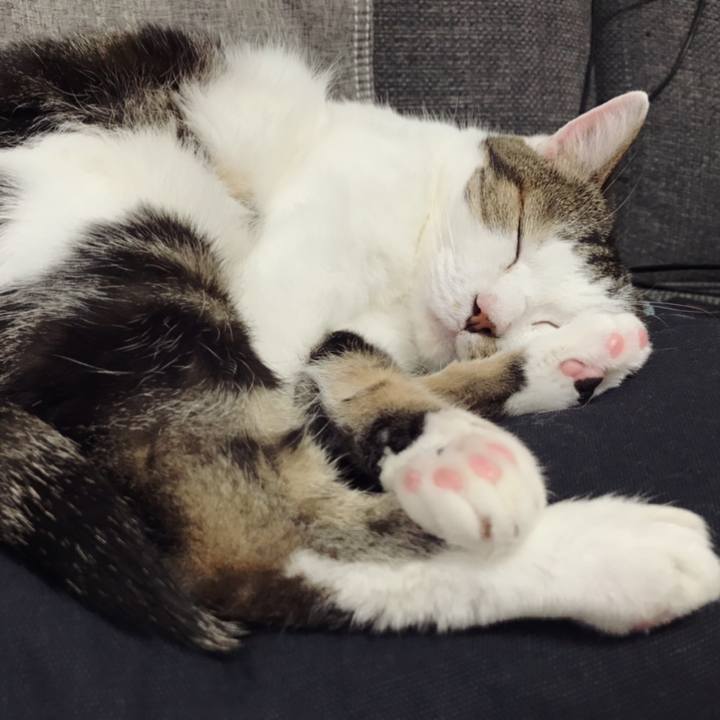 144710d1 1e9a 4990 9081 9eee881d7abe 1591776514126