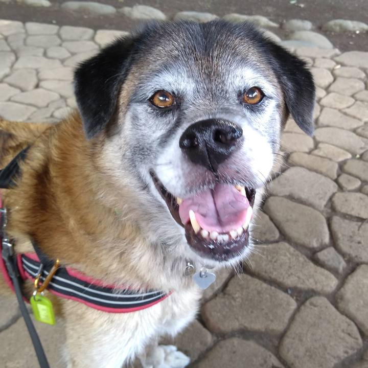 14471f21 d4e3 4870 bd14 9b539a891ca7 1569283224578