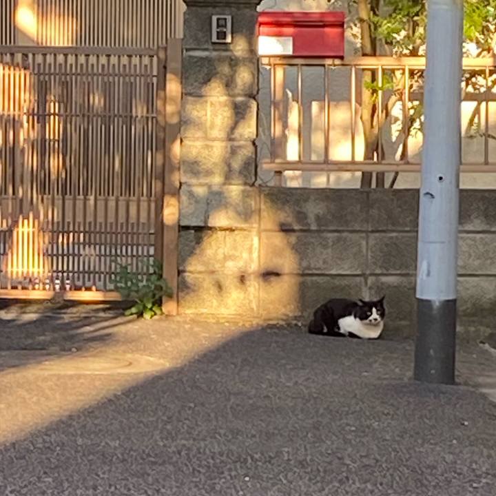 14473653 d188 4a05 9739 f21dc7b137d3 1666509874199