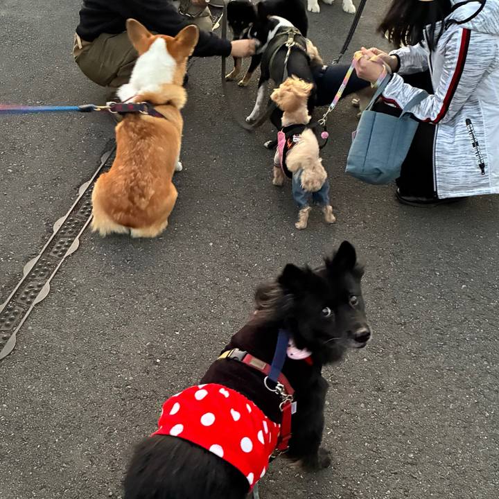 1447958e bae4 43c0 b320 849cd4f56866 1762178818157