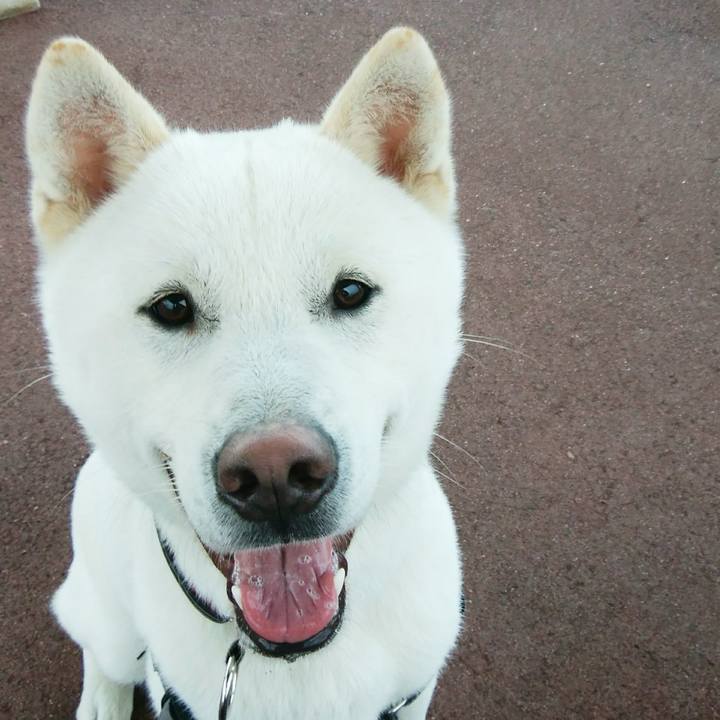 14479b1a 11f2 44af b584 bd198af42013 1519898635123