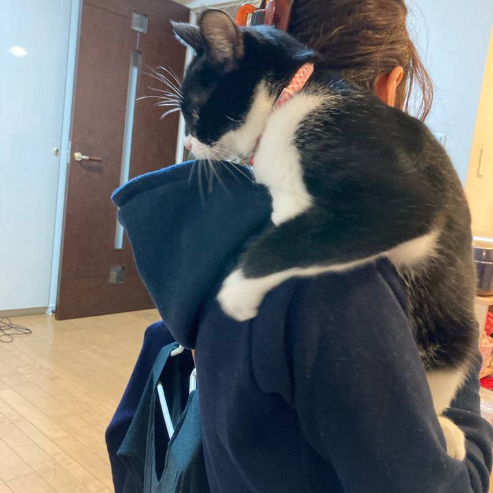 1447a581 98f7 42ec a9b7 ce92b5ea0ca2 1620788878953