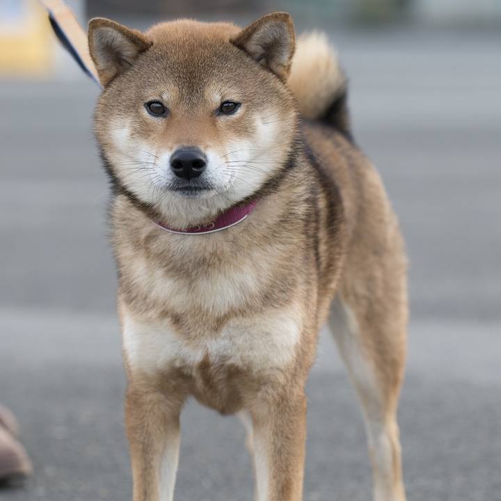 1447b6f1 6274 4104 a7b5 1a02994a4308 1551673486906