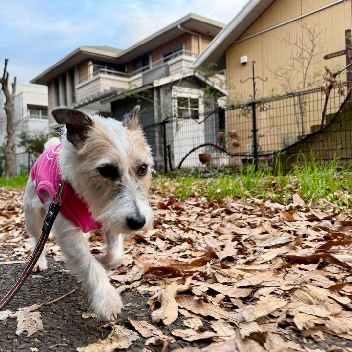 1447b8c5 179d 47de a6f5 b74e07a7b634 1767620048778