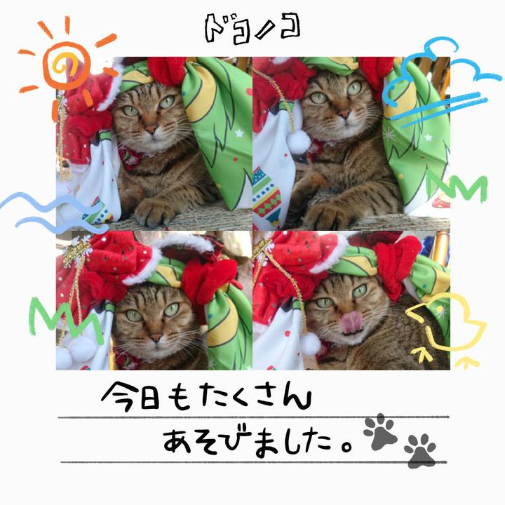 1447f1a3 6d4a 4ad0 918e 89cae521b594 1755471407706