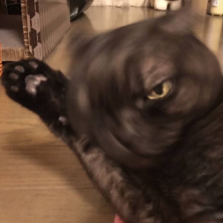 1448064d 4801 4aa7 ab98 cbdf82910dbd 1549158683001