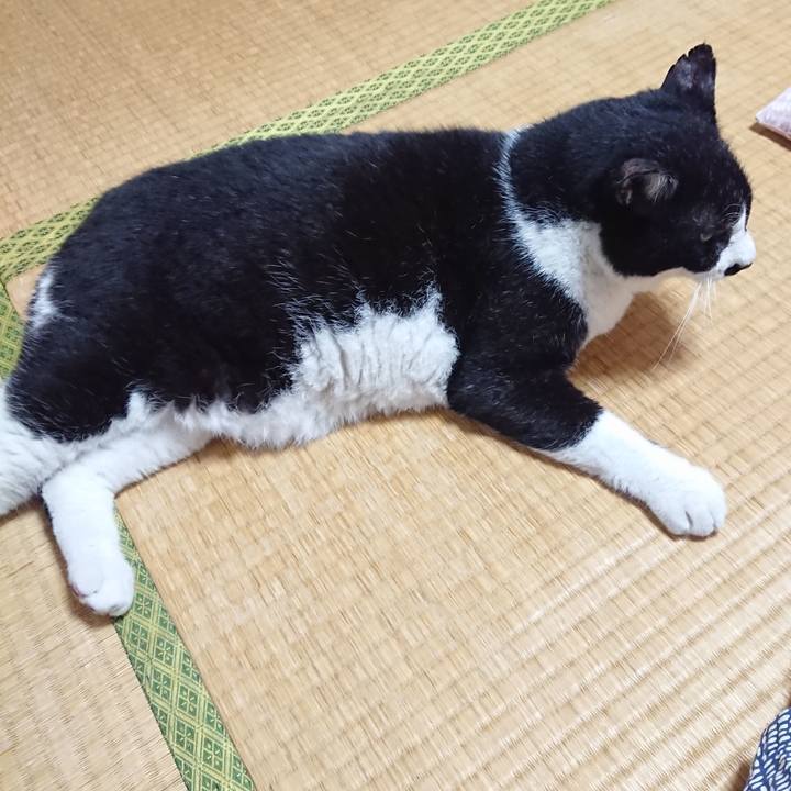 14480ff4 1b82 4145 ab9a 32b63ffade7c 1628427055450