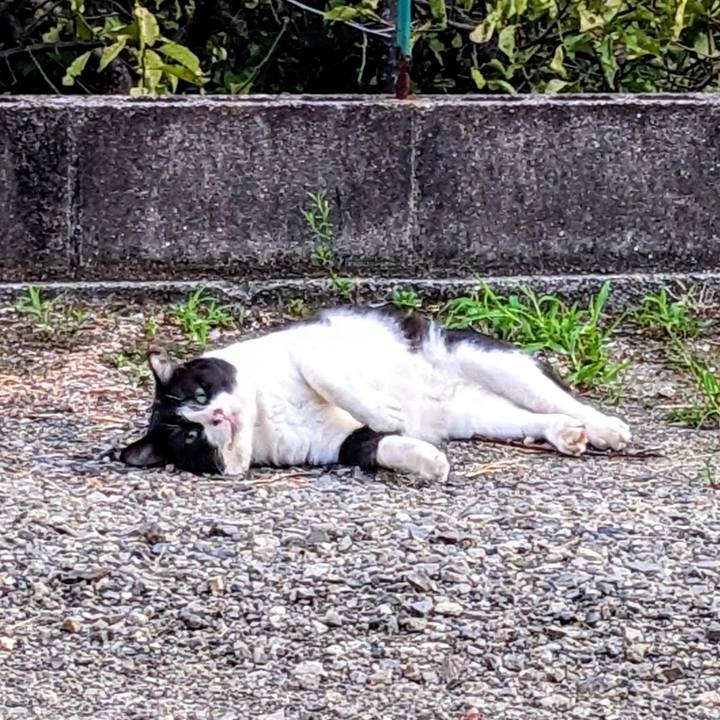 14481951 de1f 4848 a5d3 d9907f965faa 1758152952597