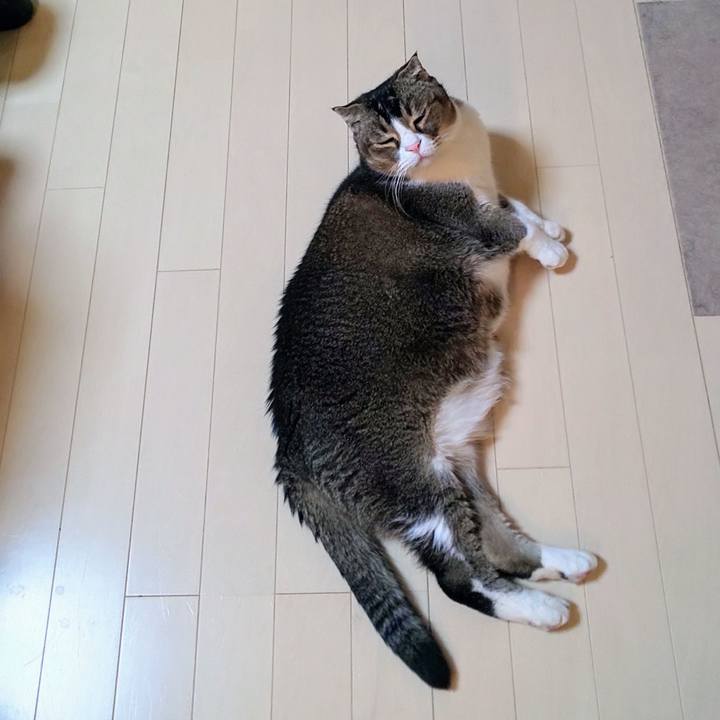 144837ed ecb7 48e2 9310 996e9e58cb94 1735729775254