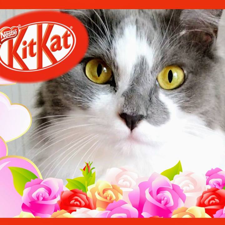 14485457 670d 489b a406 8d0cd1385ce8 1606528994443