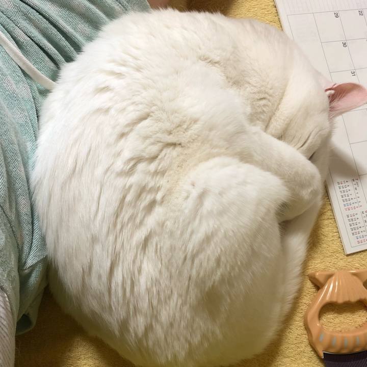 144892c1 a108 42be ab7e e2d60b940b8a 1660372390632