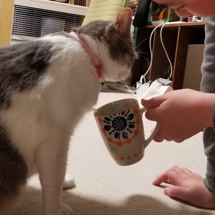 1448a3b7 1948 4efb 8a3e 8f2ed8d07ce0 1581332161530