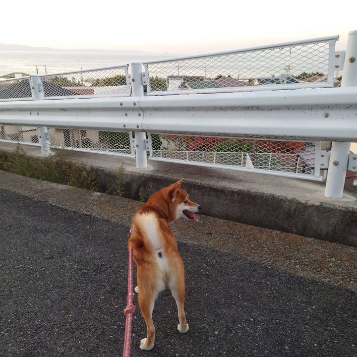 1448bf74 a6be 4f2f b9cb f5a3804991f2 1763803611080