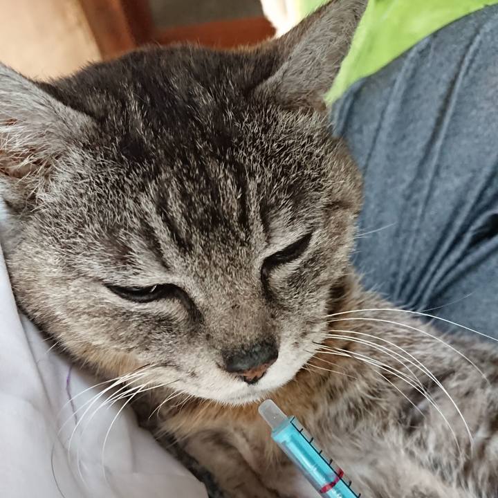 1448ceb2 e648 4524 972d e89885343635 1589406591972