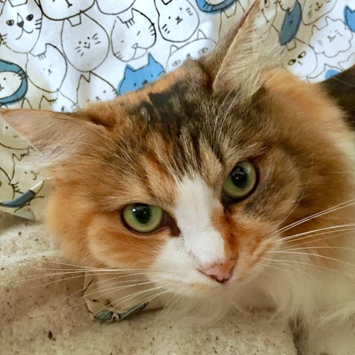 1448ee8d ae5f 4524 b7aa b3ae86208d02 1567672587992