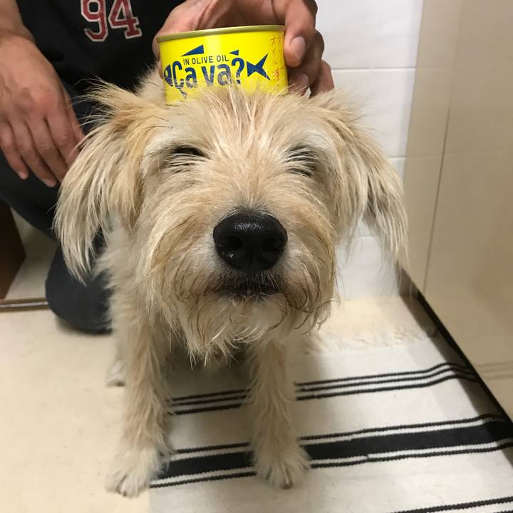 1448f9c4 e88f 48af a290 66be7cd28aef 1535872402163