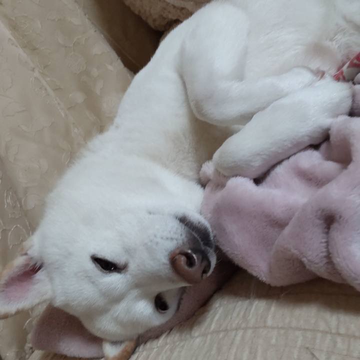 144937a9 44a1 4b09 93f8 2be4b0cc5a1a 1643507175307