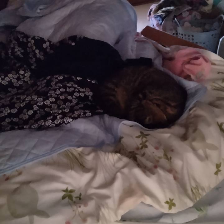 14493e2e 7914 4715 8dad 0ac861c12aa5 1715638158690