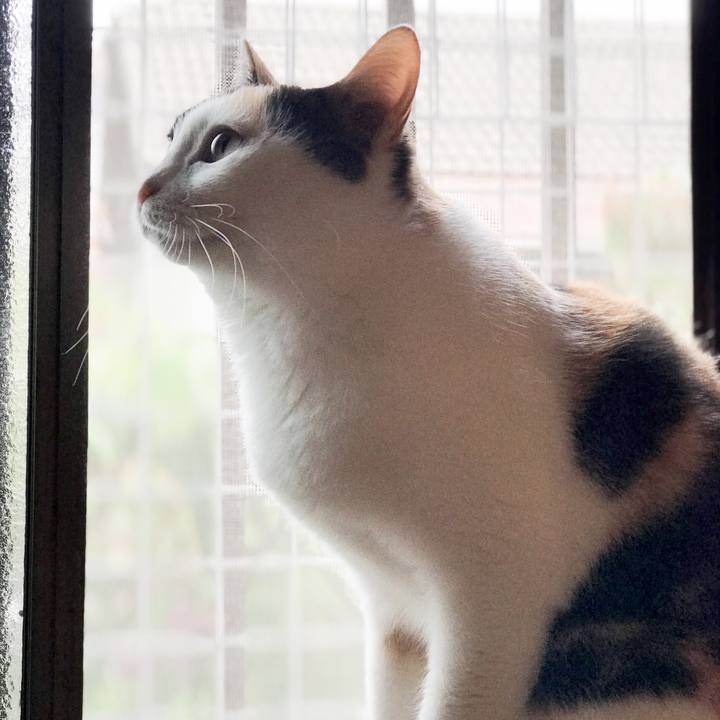 14497ecf a97b 40fc be61 375bc0c855ea 1526442177380