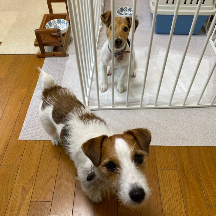 144984a5 77ab 48b9 a680 bcb5b2449ff7 1747349859764