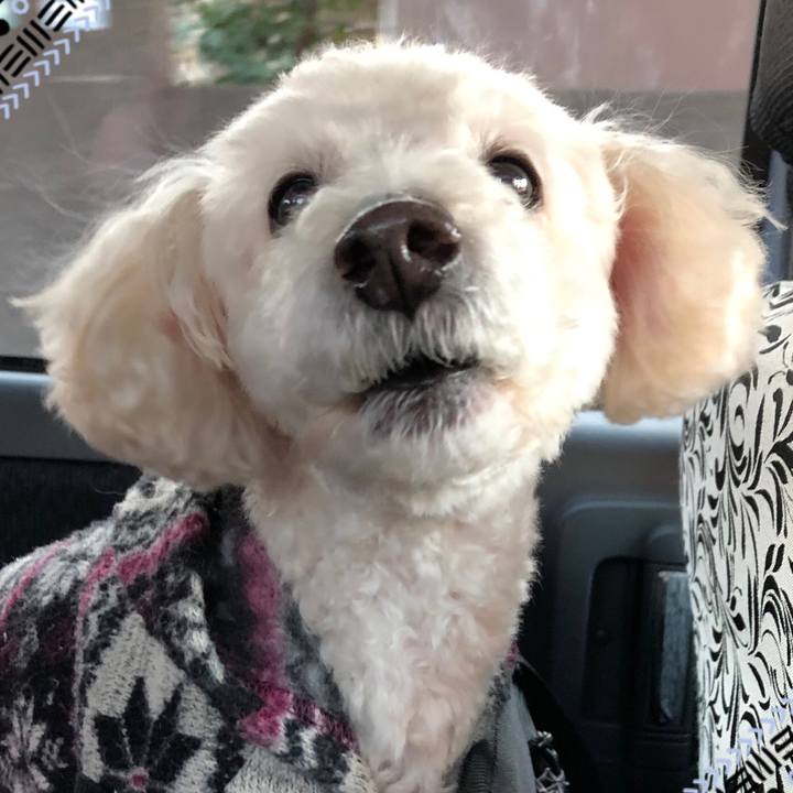 1449aff2 7488 4eaa 9636 8fea78bc523f 1547158128803