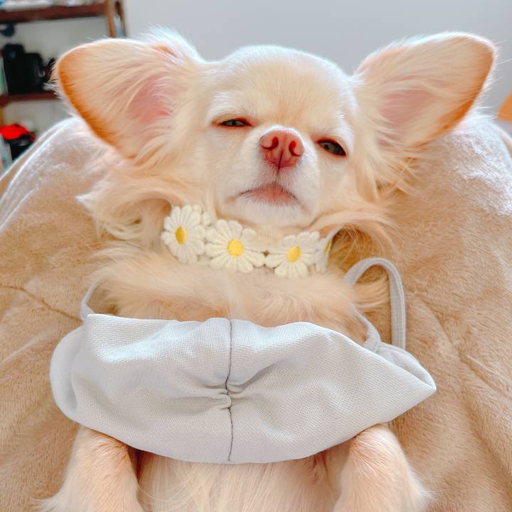 1449bde3 9a12 4b6d a9f4 2e258664fd29 1649324746759