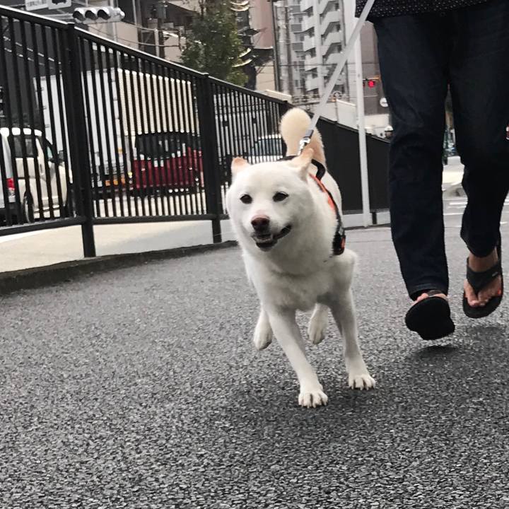 1449d8f1 d219 45cb b3be 26a8de2befa0 1540525816026