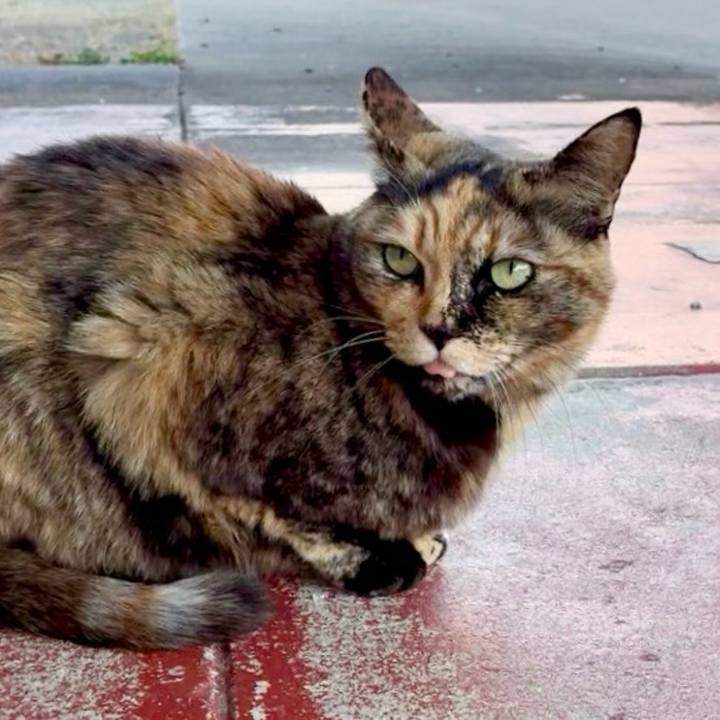 1449e240 7c23 4779 8188 4fa9f89bc14f 1770882556300