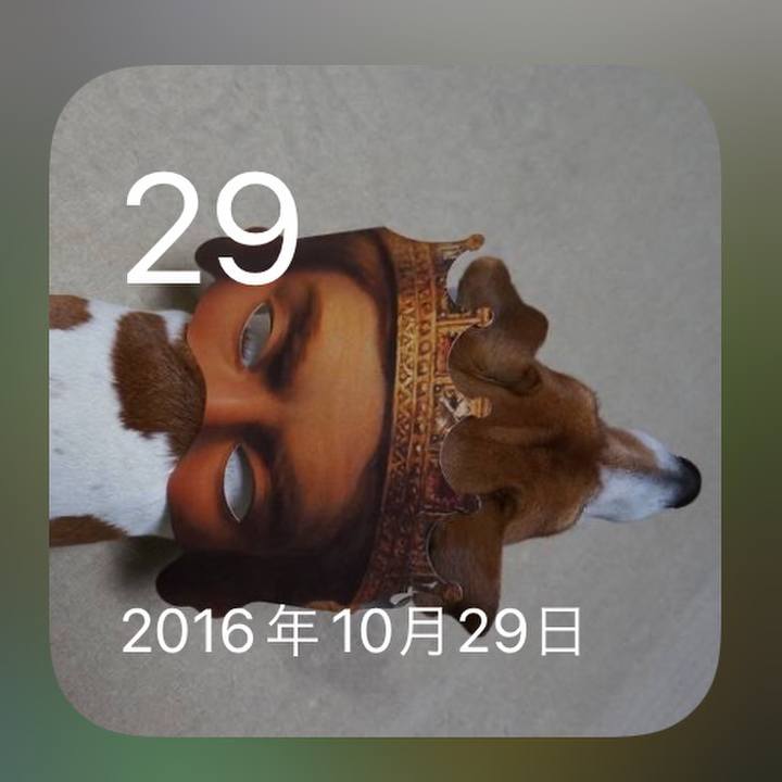 1449fe4f b9a4 4a64 9c1a bc4c78ded88a 1635490795965