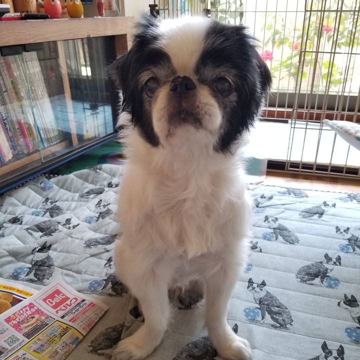 144a0c12 14d3 441e b497 8ce040863ca2 1573380220182