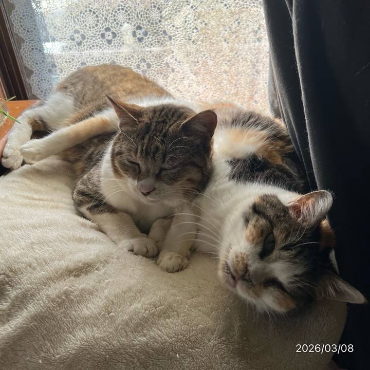 144a1568 3a79 47d1 9e11 844a85834be1 1772940374034