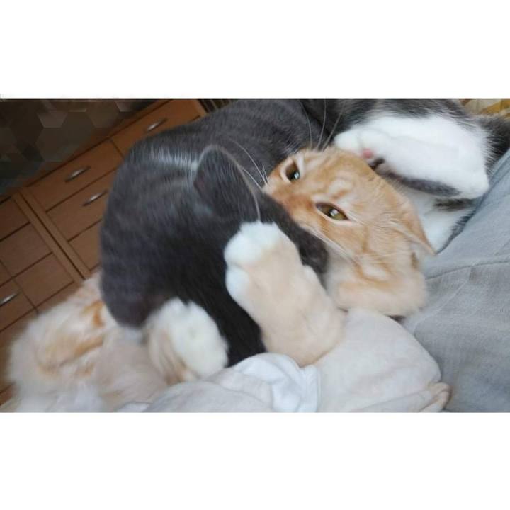 144a8abf c7b1 4852 b949 0b7c54236547 1629950836879