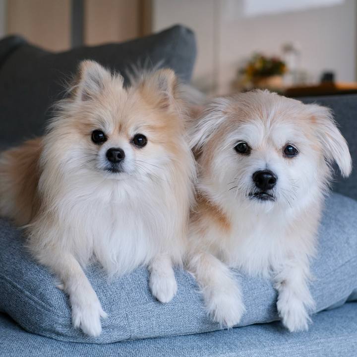 144a8b85 b3b6 4b18 a58c 18ca432a2cd8 1764455085691