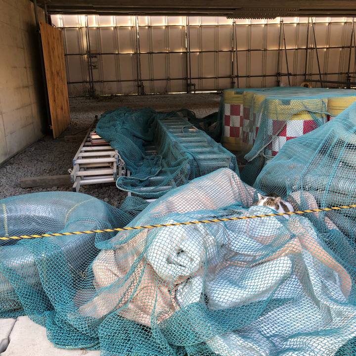 144a99ae 5b66 432a 868f ebe5600401e1 1548118988631