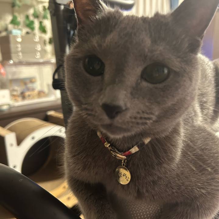 144aab7f 318b 4ddb b46e 647e13221fc6 1749780216874