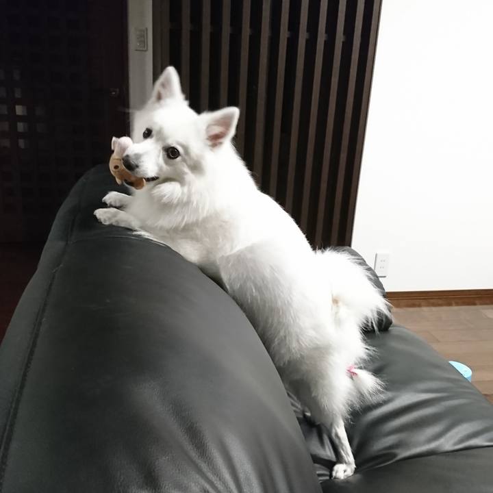 144aad9e de70 42e9 8098 c3fc4f8a3619 1542208865694