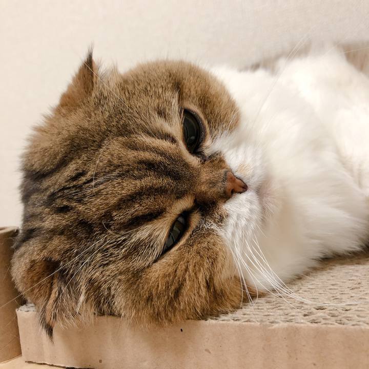 144b082e ece2 420a 8692 5d71edb150a5 1601906950168