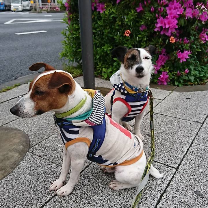 144b2b58 8c4e 426f a4fe 016a38b2f7b0 1556142497595