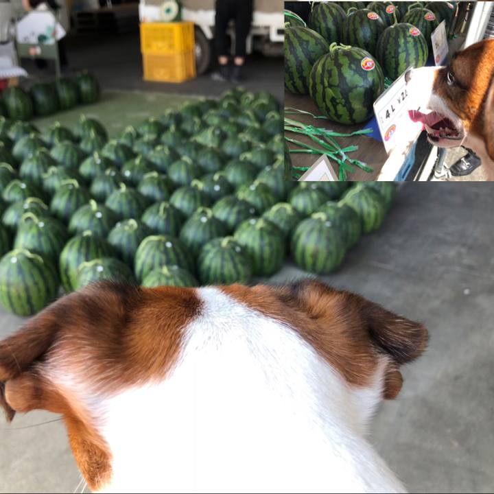 144b358c 4e5f 47a3 97d9 7c62d153f5a3 1595131920338